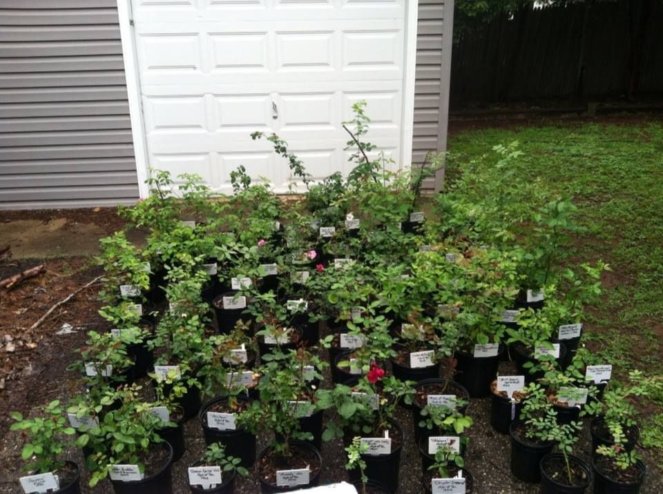  photo InventoryJune13_zpsa2aa1ad2.jpg